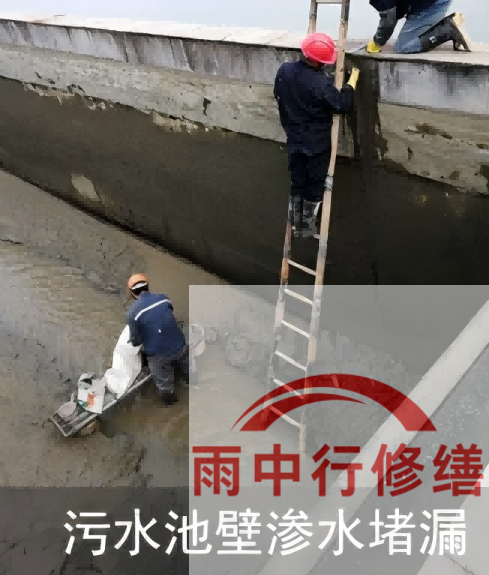 鹤壁2026年防水龙头半月两次涨价，行业格局重塑信号